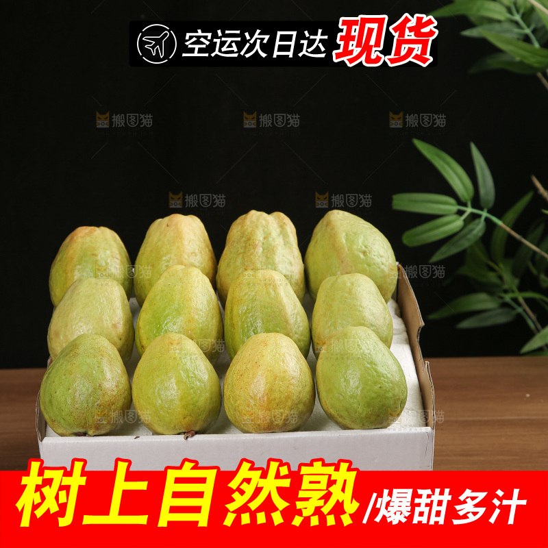 红心芭乐