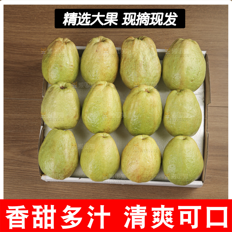 红心芭乐