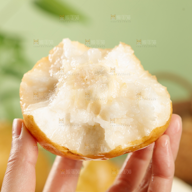 浅底上的丑梨