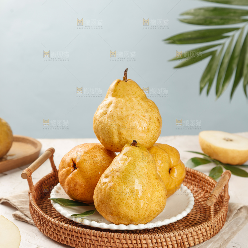 浅底上的丑梨