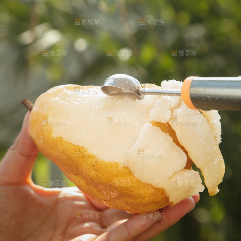 手里拿的丑梨