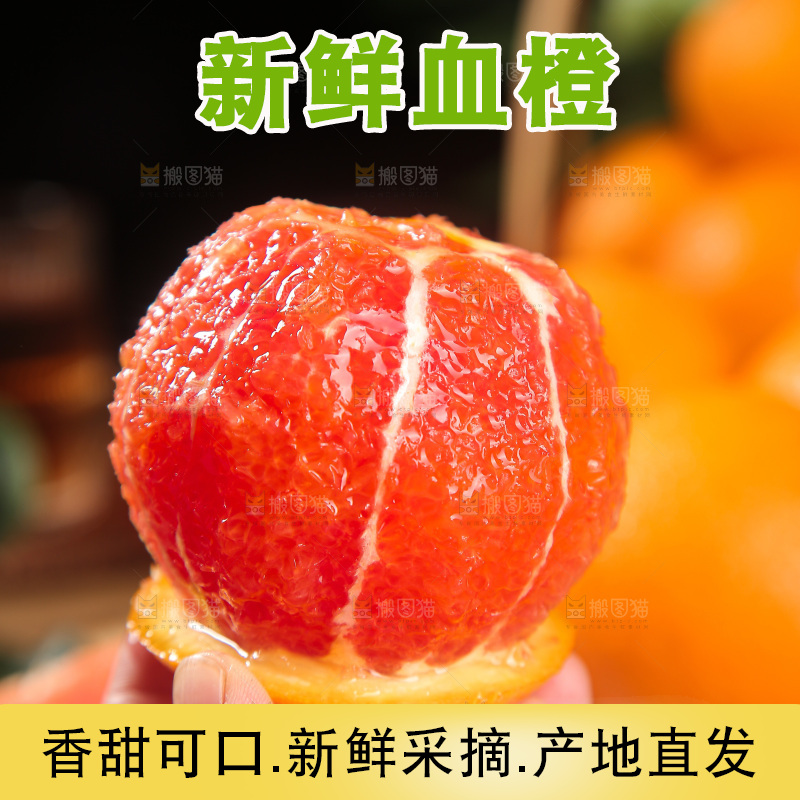 血橙