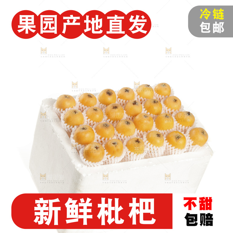 枇杷