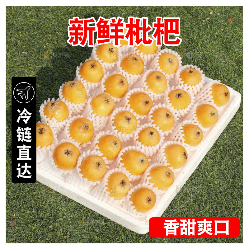枇杷