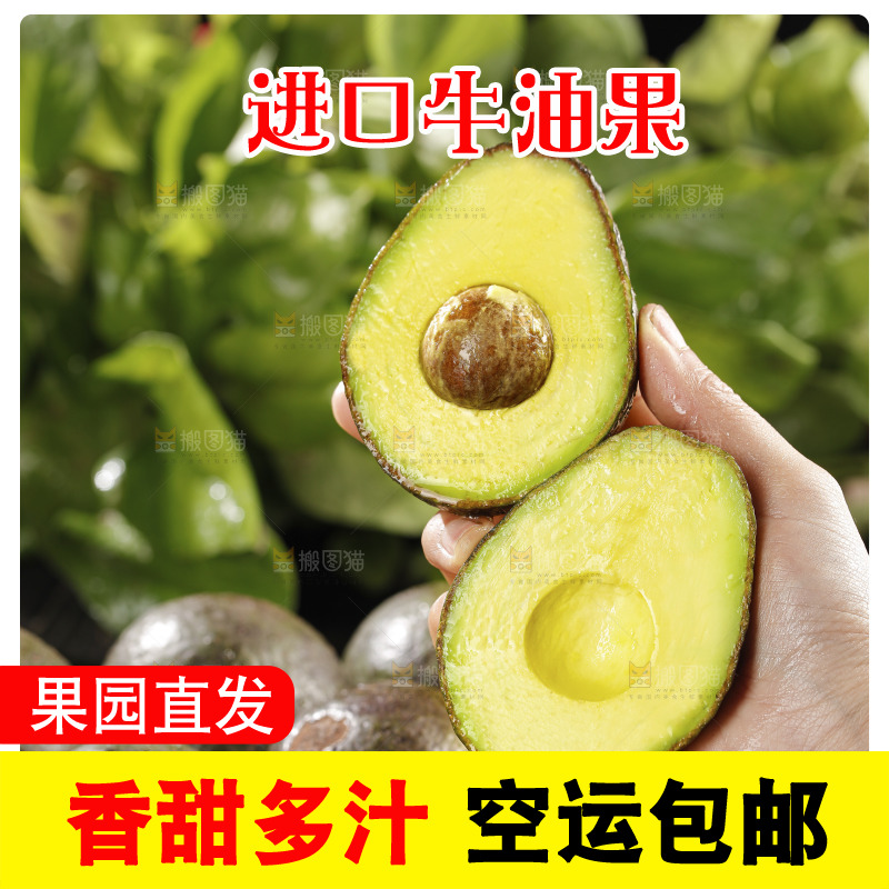 牛油果