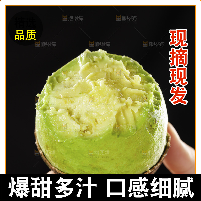 牛油果