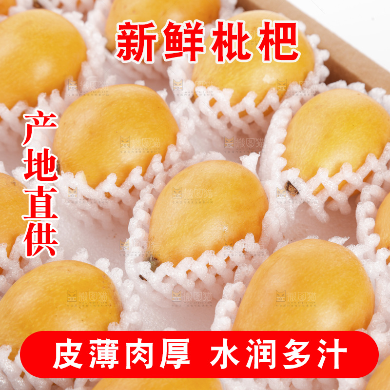 枇杷