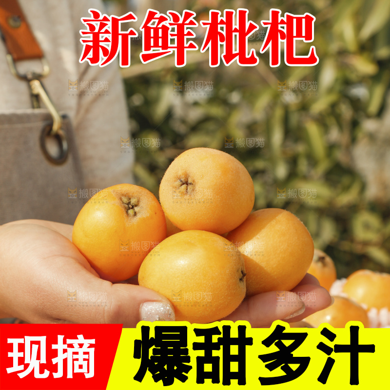 枇杷