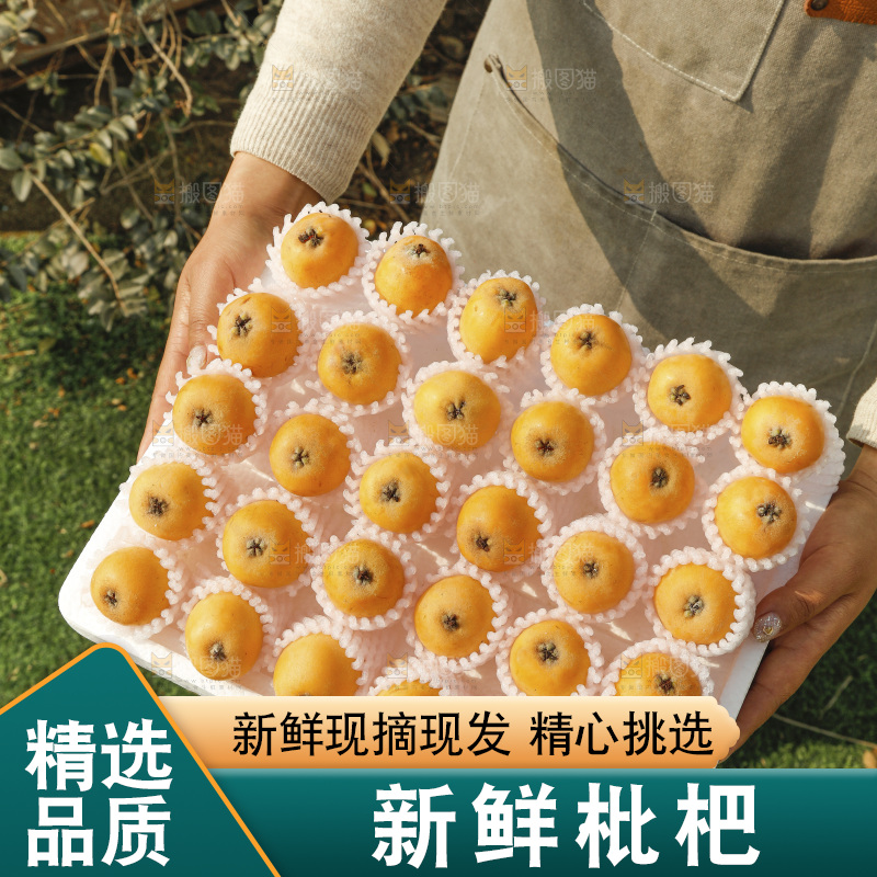 枇杷