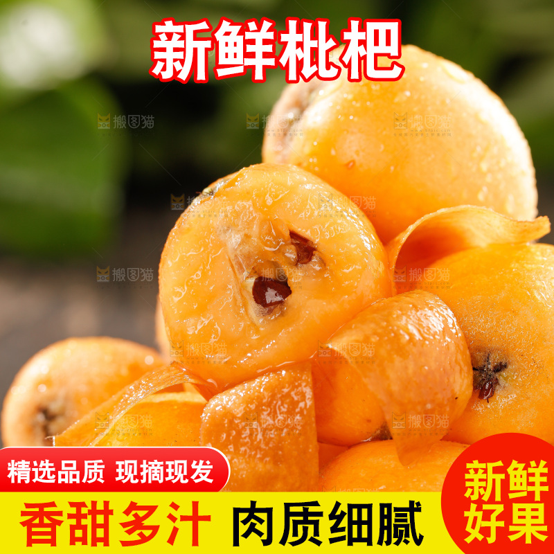 枇杷