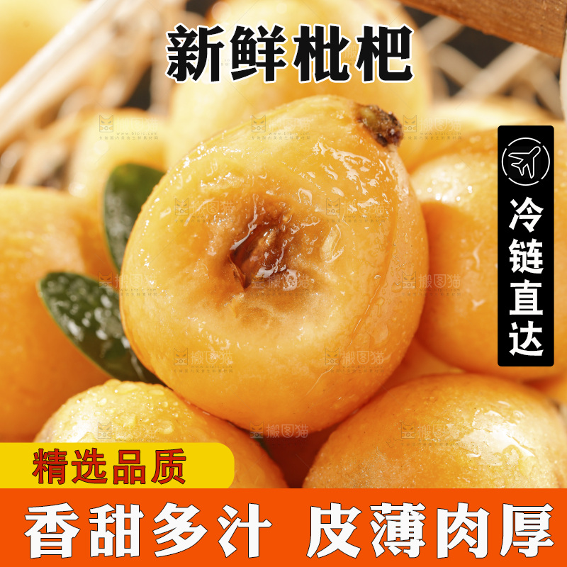 枇杷