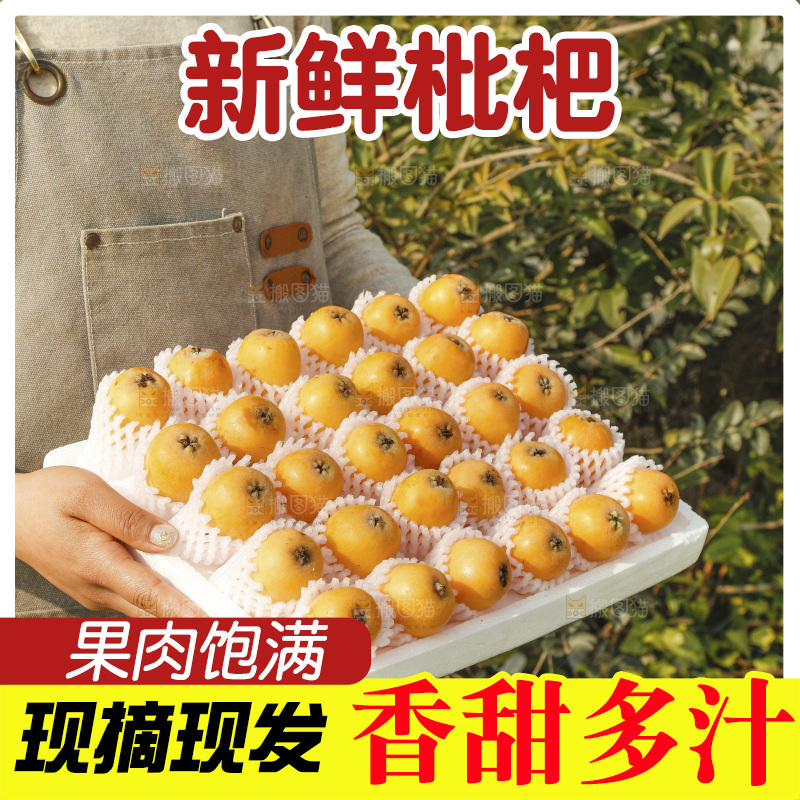 枇杷