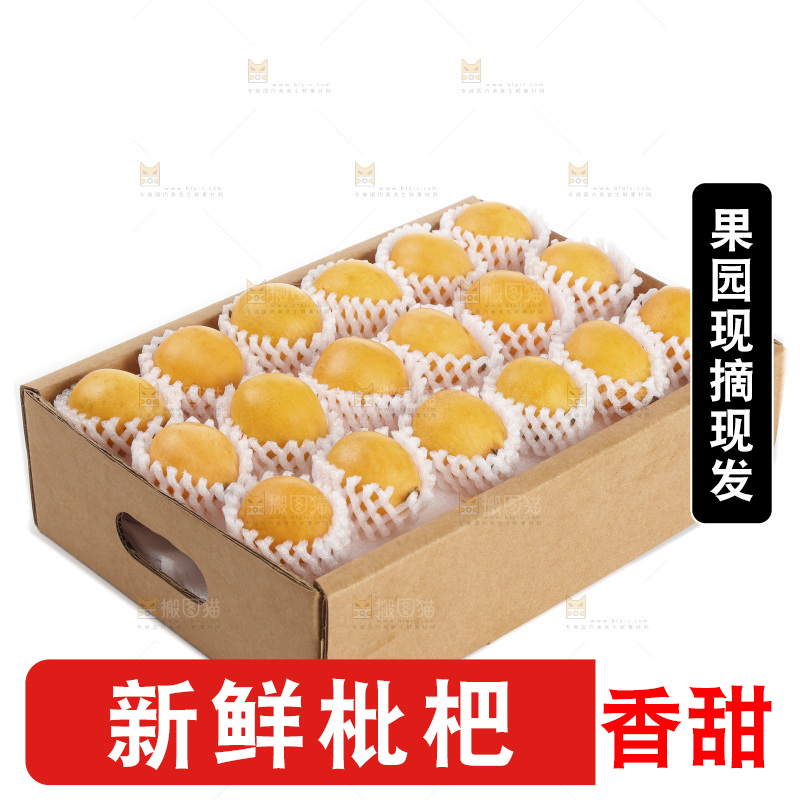 枇杷