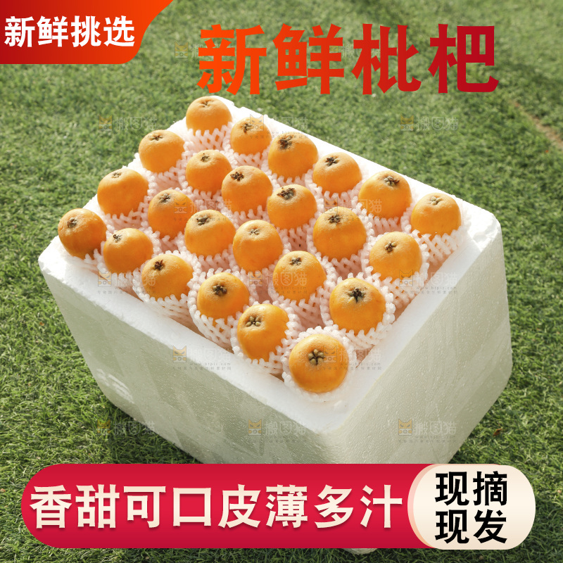 枇杷