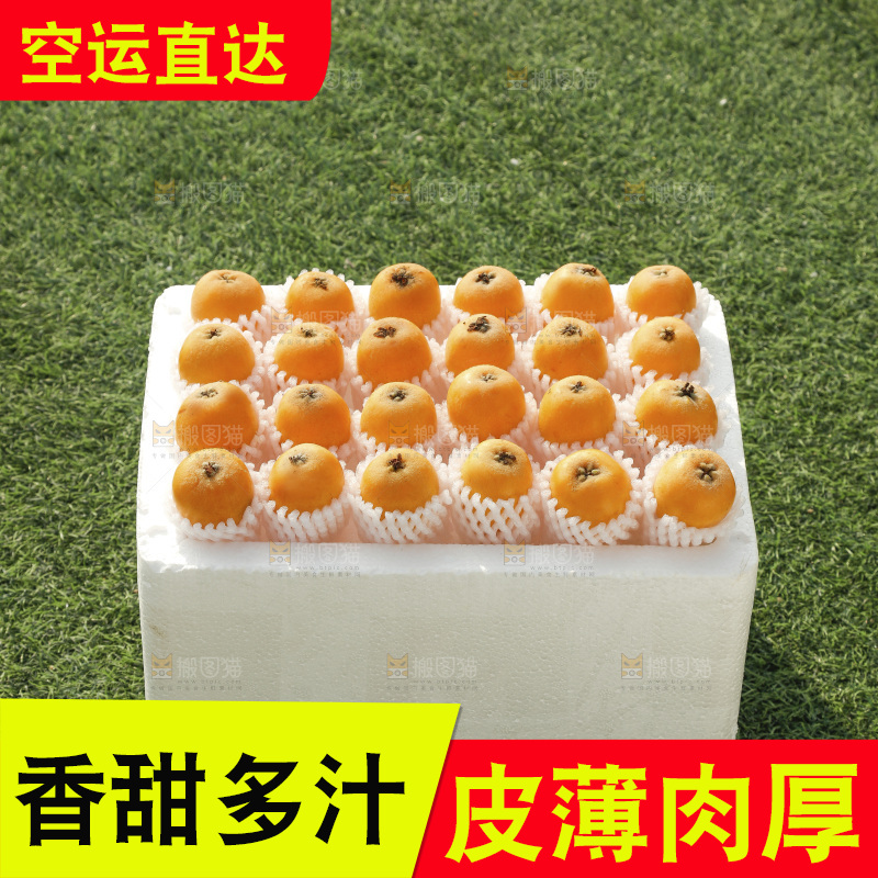 枇杷