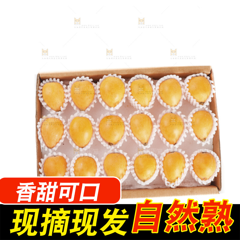 枇杷