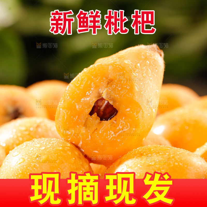 枇杷