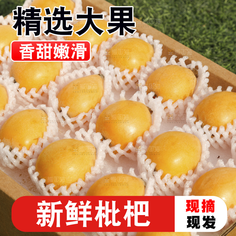 枇杷