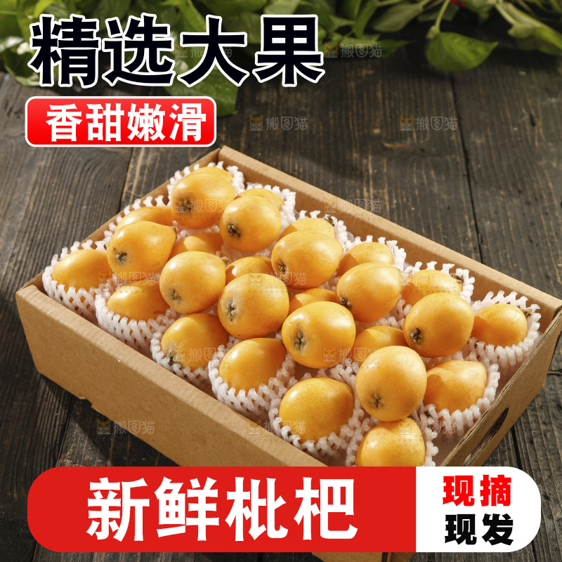 枇杷