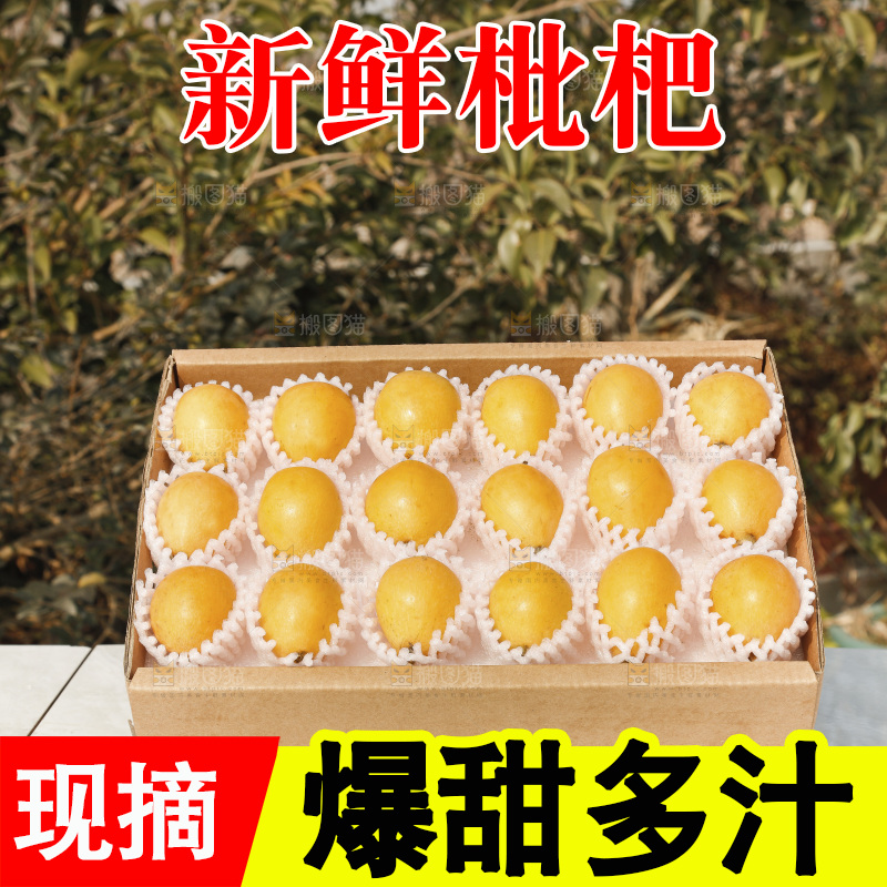枇杷