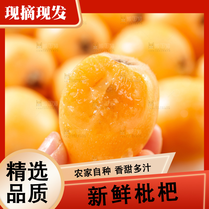 枇杷
