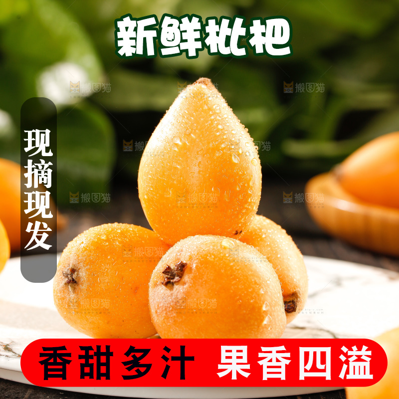枇杷