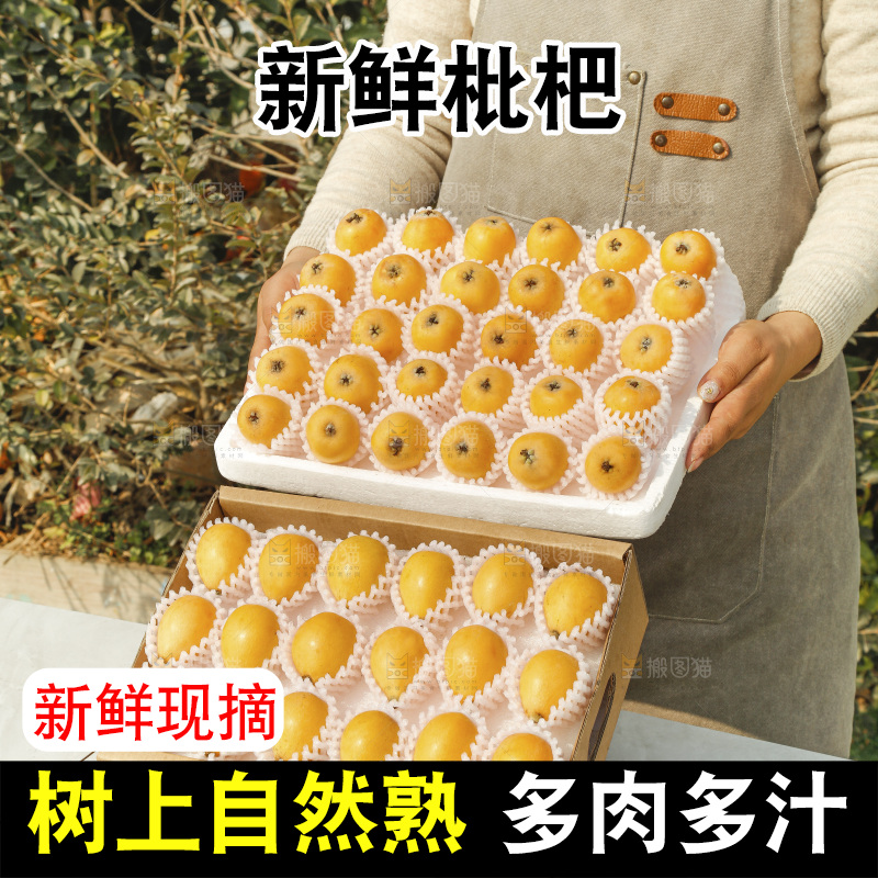 枇杷