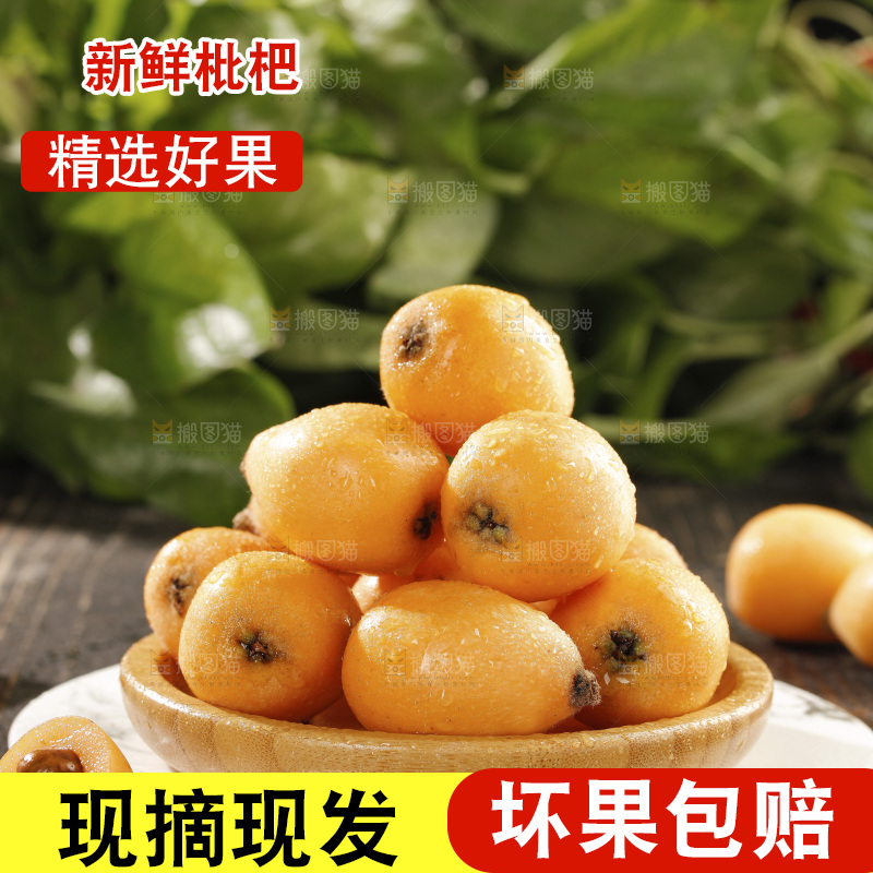 枇杷