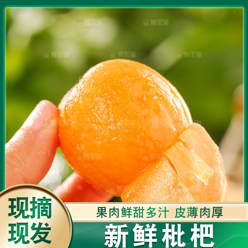 枇杷