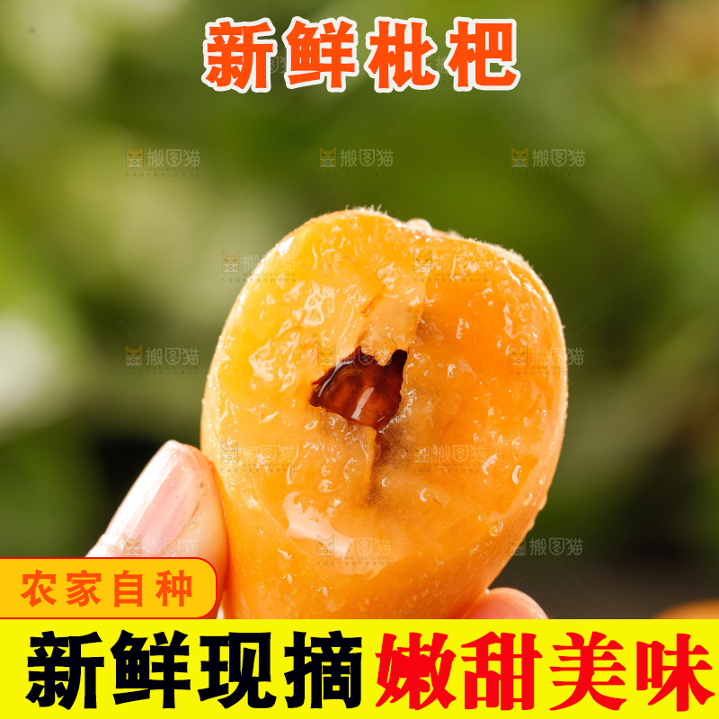 枇杷