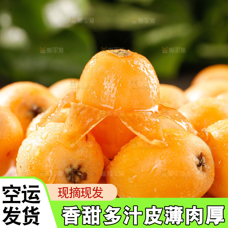 枇杷