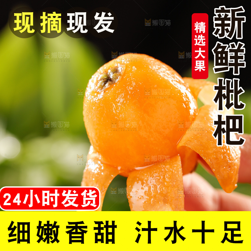 枇杷