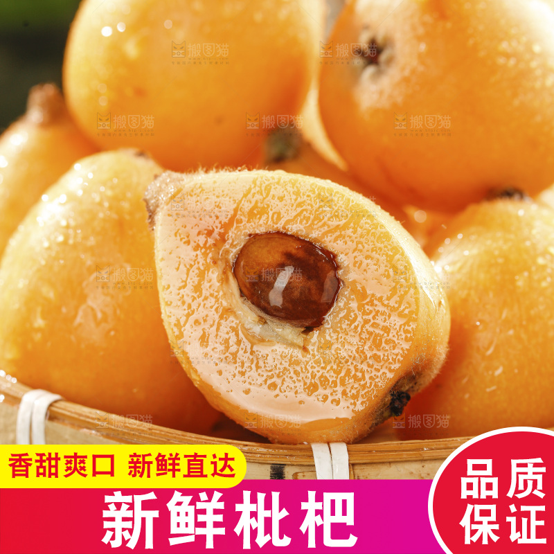枇杷
