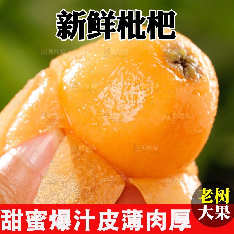 枇杷