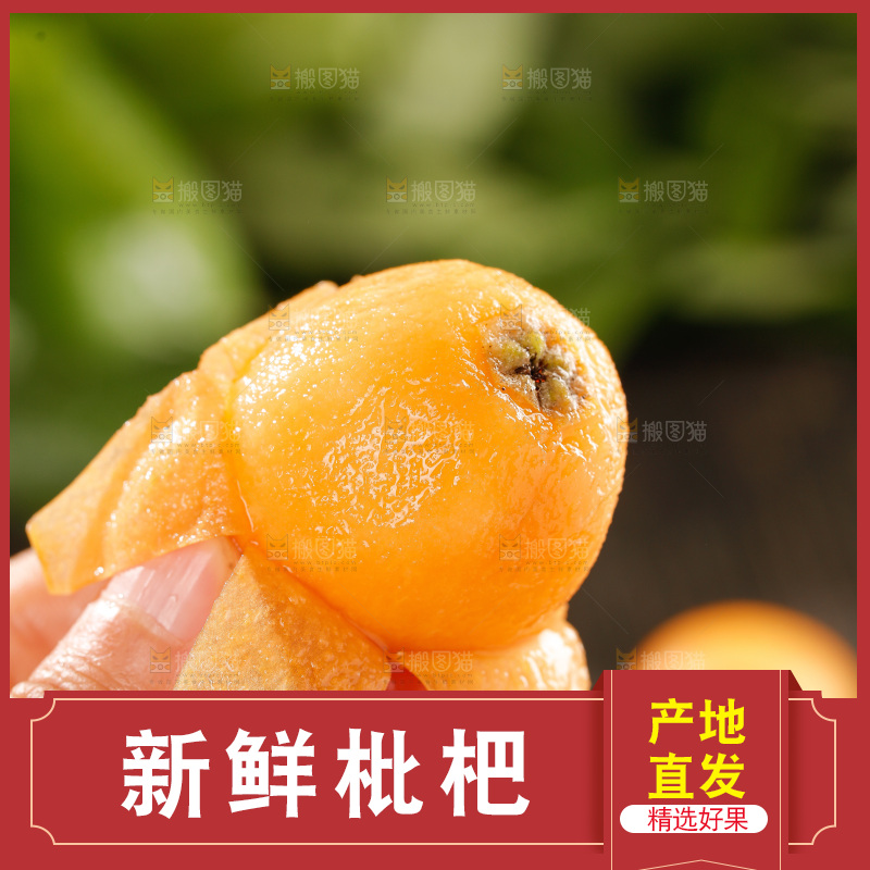 枇杷