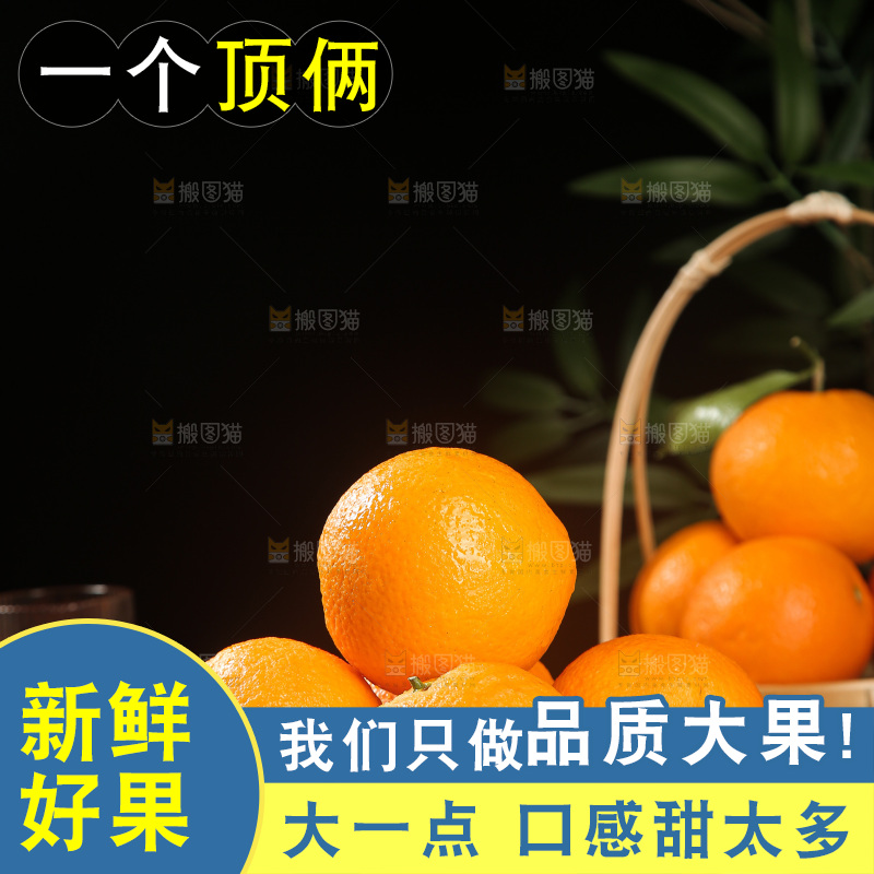 血橙