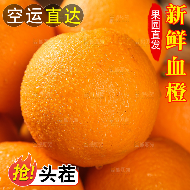 血橙