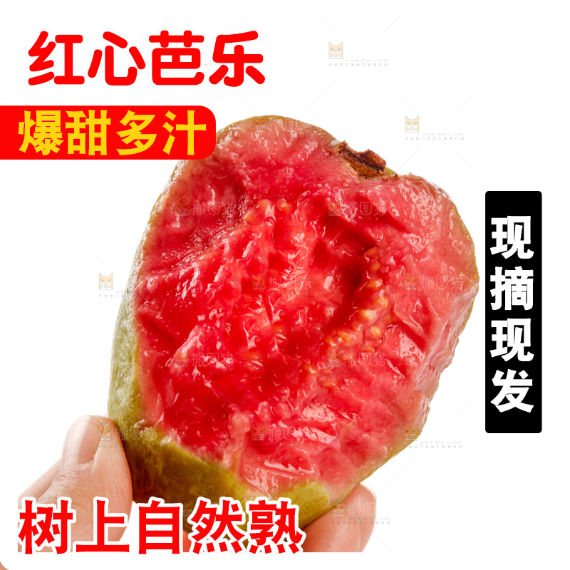 红心芭乐
