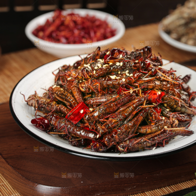 油炸蚂蚱