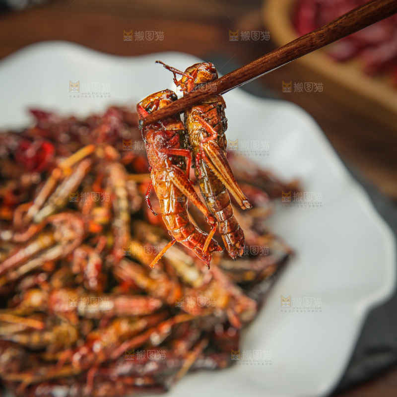 油炸蚂蚱