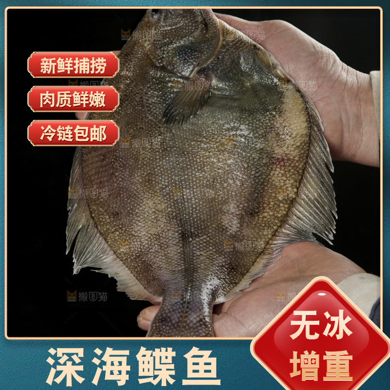 鲽鱼