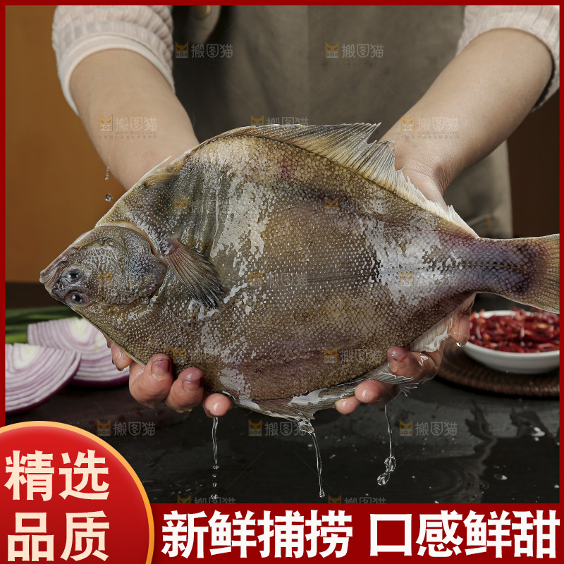 鲽鱼