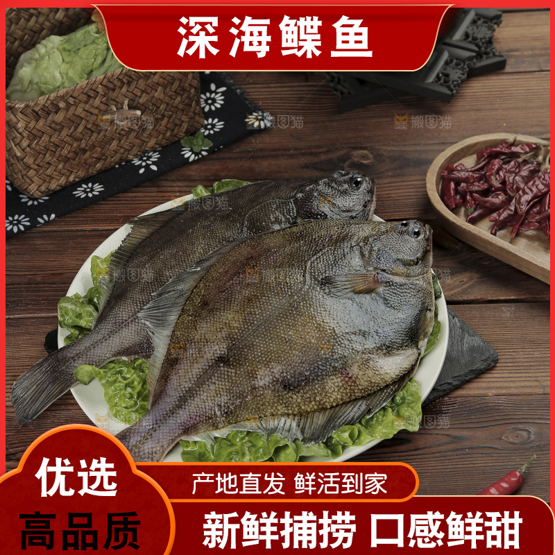鲽鱼