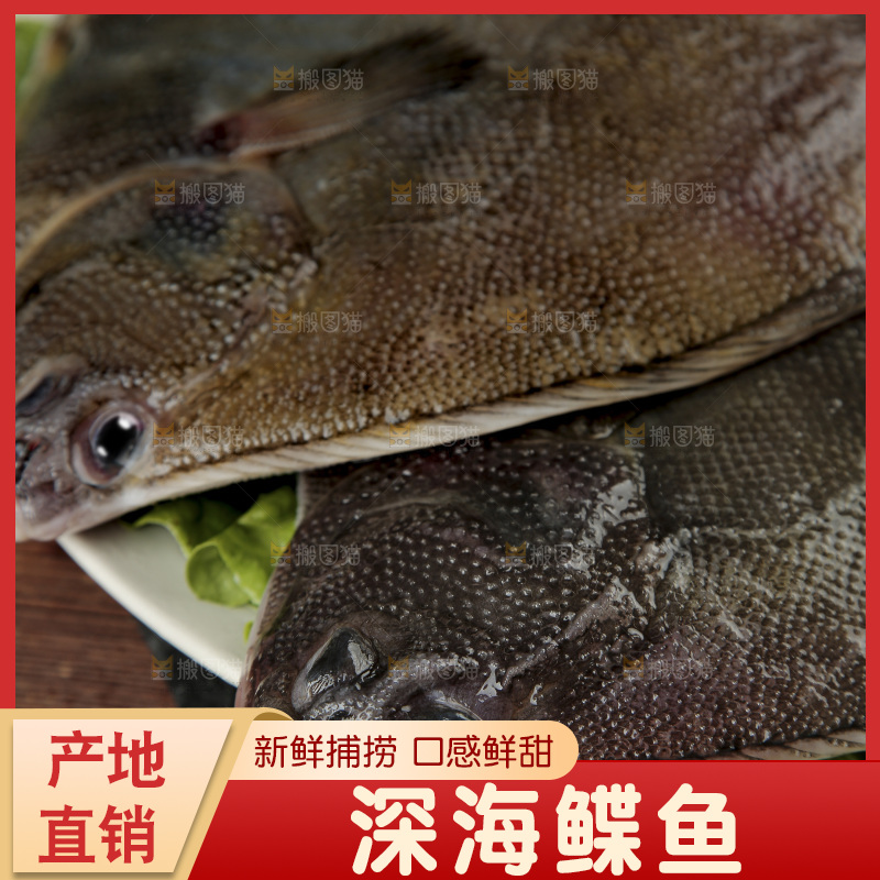 鲽鱼