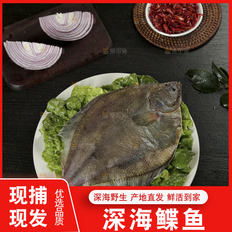 鲽鱼