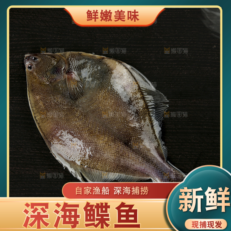 鲽鱼