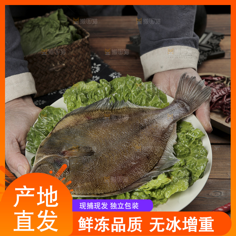 鲽鱼