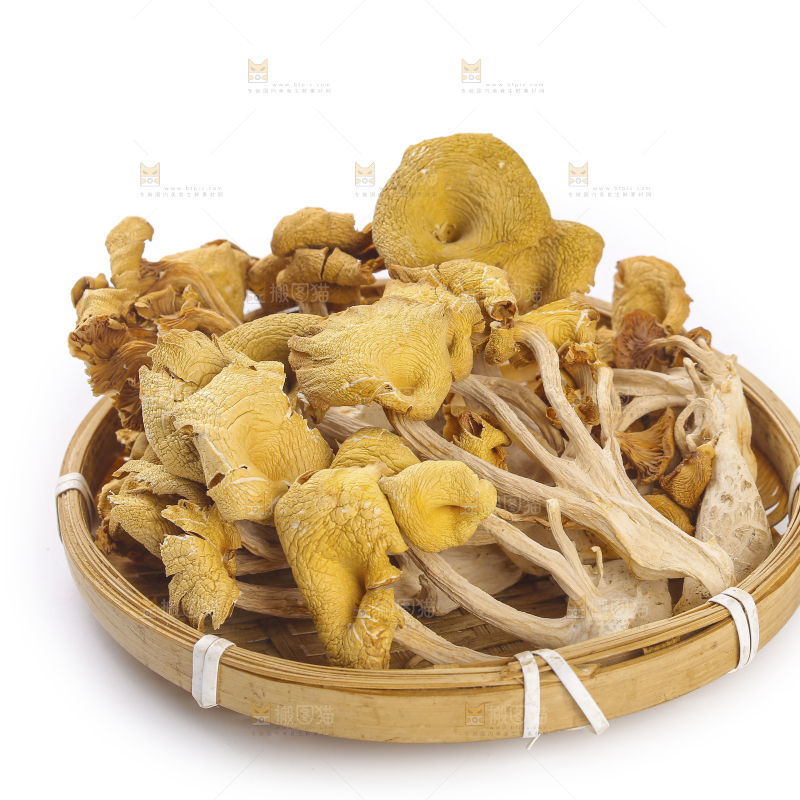 黄金菇