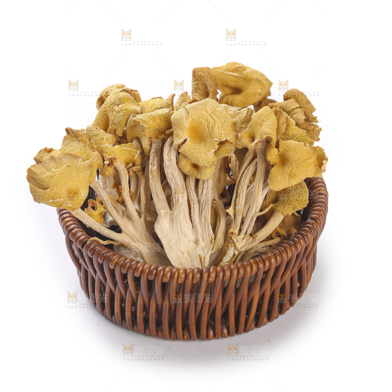 黄金菇