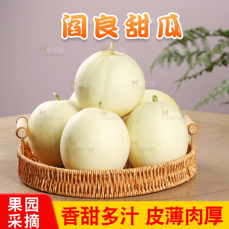 阎良甜瓜